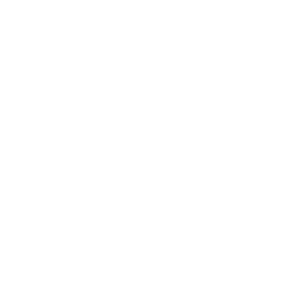VoidChain Logo
